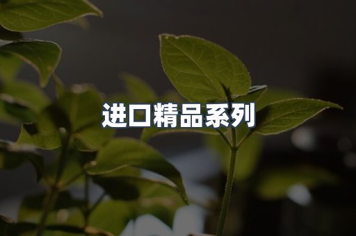 进口精品系列