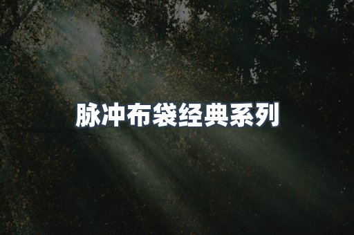 脉冲布袋经典系列