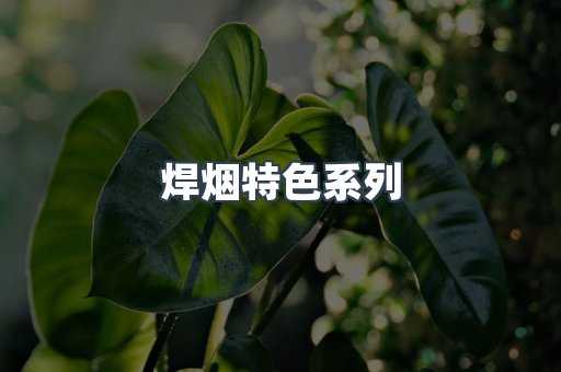 焊烟特色系列