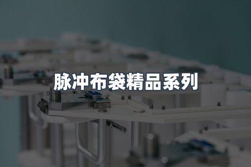 脉冲布袋精品系列